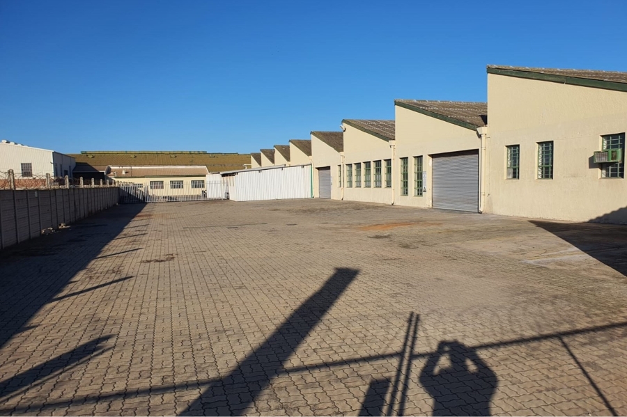 To Let commercial Property for Rent in Deal Party Eastern Cape